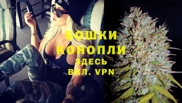 гидра Арсеньев