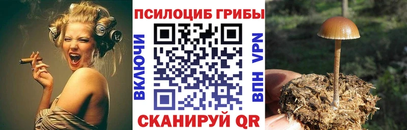 купить наркотики цена  Белово  Псилоцибиновые грибы прущие грибы 
